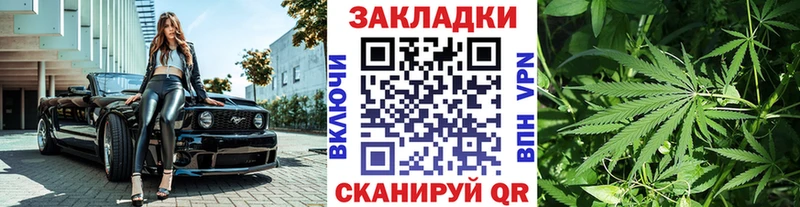 ГАШ Елец