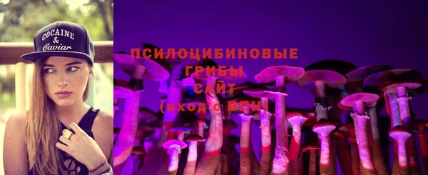 ешки Вязьма